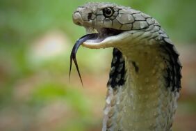 b526b0df-5343-4fa1-bb64-0aa6f74858bb