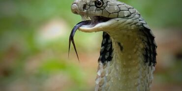 b526b0df-5343-4fa1-bb64-0aa6f74858bb