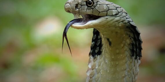 b526b0df-5343-4fa1-bb64-0aa6f74858bb