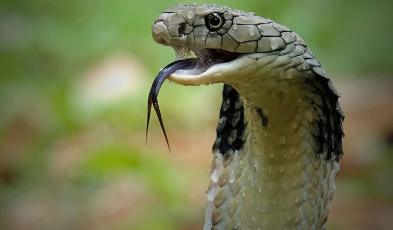 b526b0df-5343-4fa1-bb64-0aa6f74858bb