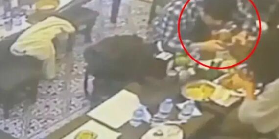 Yediği yemekten çıkan böcek dudağını ısırdı