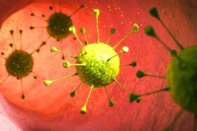 microscopic-germs-pathogens