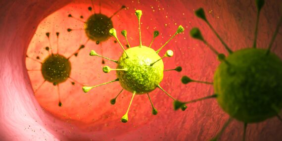 Kanser tedavisinde çığır açan gelişme: Tümörü içeriden yok eden akıllı bakteriler