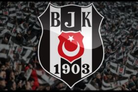 thumbs_b_c_cbe9fed608a421bbbd49acfcca9cc88f