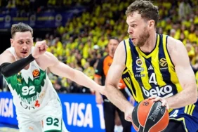 69f11235eb25bcddea9d4b95 (1)