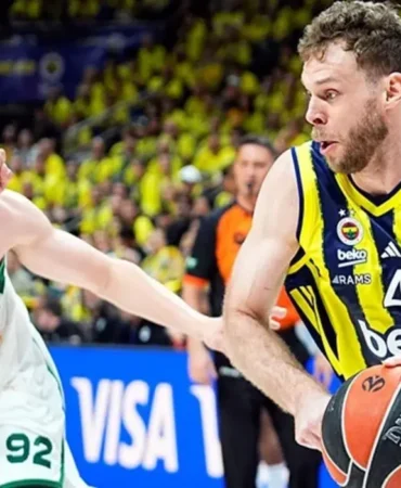 69f11235eb25bcddea9d4b95 (1)