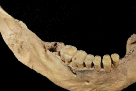 Arkeologlar ve genetikçiler Kuzey Doğu Asya’da bilinmeyen insan soyunu ortaya çıkardı