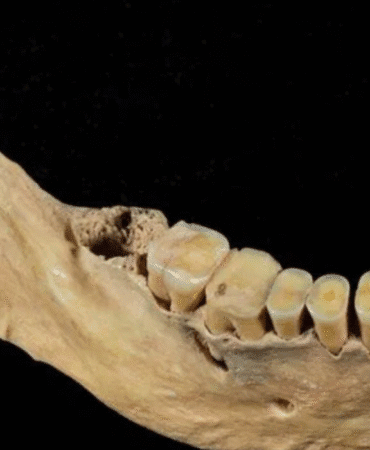 Arkeologlar ve genetikçiler Kuzey Doğu Asya’da bilinmeyen insan soyunu ortaya çıkardı