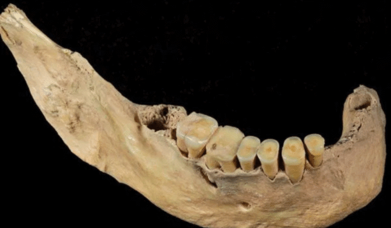Arkeologlar ve genetikçiler Kuzey Doğu Asya’da bilinmeyen insan soyunu ortaya çıkardı