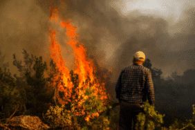 Bakanlıktan açıklama İhmal, kast ve kazadan 1933 yangın çıktı (1)