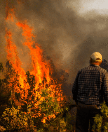 Bakanlıktan açıklama İhmal, kast ve kazadan 1933 yangın çıktı (1)