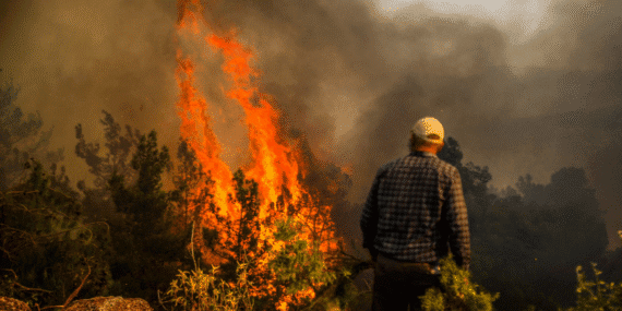 Bakanlıktan açıklama: İhmal, kast ve kazadan 1933 yangın çıktı