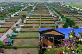 Hobi bahçesi tartışması AKP MKYK'yı gerdi 'Affedilecek bir durum değil'