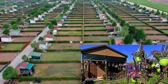 Hobi bahçesi tartışması AKP MKYK’yı gerdi: ‘Affedilecek bir durum değil’