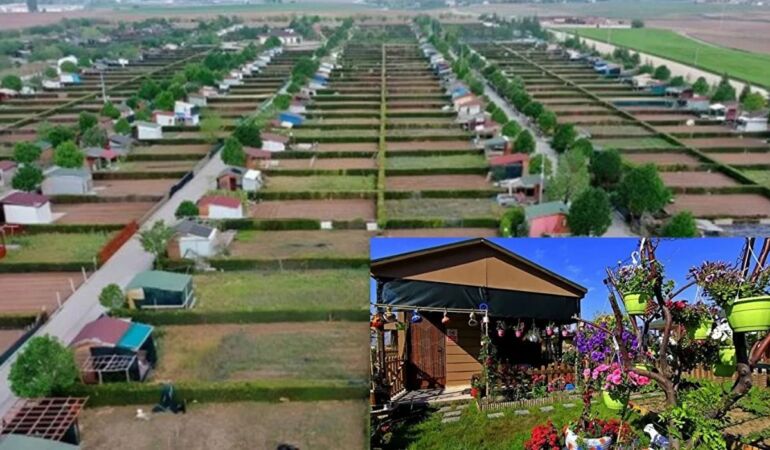 Hobi bahçesi tartışması AKP MKYK'yı gerdi 'Affedilecek bir durum değil'