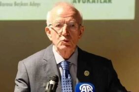 İstanbul Barosu Başkanı İbrahim Kaboğlu,