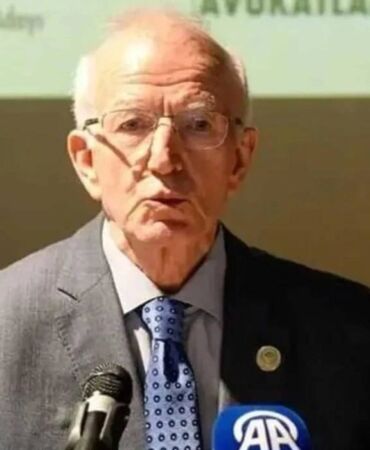 İstanbul Barosu Başkanı İbrahim Kaboğlu,