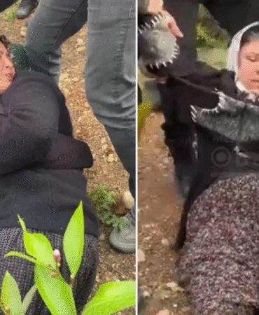 Köylülerden Mersin’de emsalsiz direniş İş makinelerine karşı insan zinciri