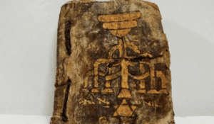 Muğla’daki kaçakçılık operasyonunda 15. yüzyıla ait Tevrat ele geçti