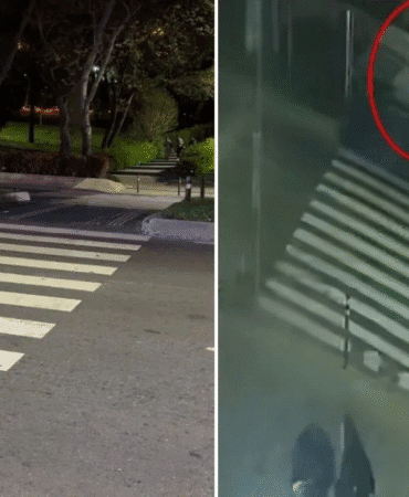 Yaya geçidinde facia Otomobilin çarptığı üniversite öğrencisi hayatını kaybetti