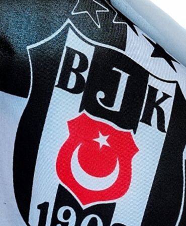 besiktas-in-yeni-teknik-direktor