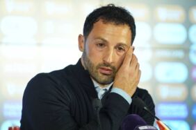 domenico tedesco