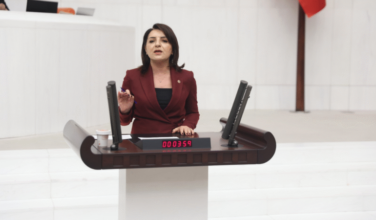 CHP'li Kış iktidarının politikasını eleştirdi 'Yurttaş, geçinebilmek için kredi kartını yükleniyor'