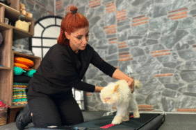 Chinchilla cinsi Köpük 18 yaşında! Pilates ve yüzme ile gençliğini koruyor