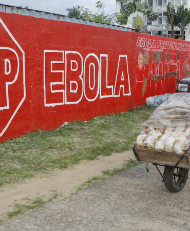 DSÖ alarma geçti Ebola salgını yayılıyor