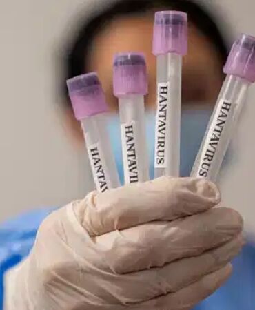 Profesörden 'hantavirüs' açıklaması 'Yeniden bir pandemi ihtimalı…'