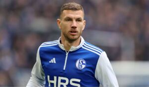 edin dzeko