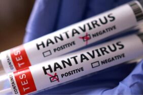 hantavirüs
