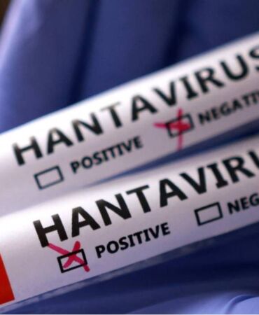 hantavirüs