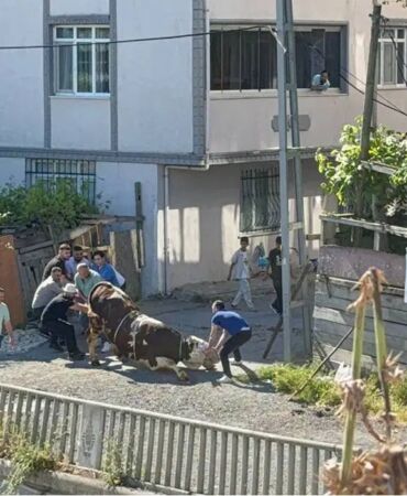 kurban bayramı ceza