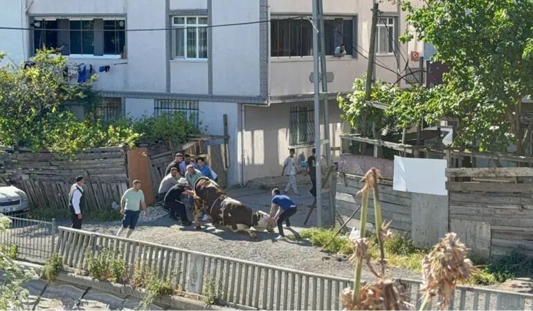 Bu bayram da aynı manzara: Esenyurt’ta kaçak kurban kesenlere ceza yağdı