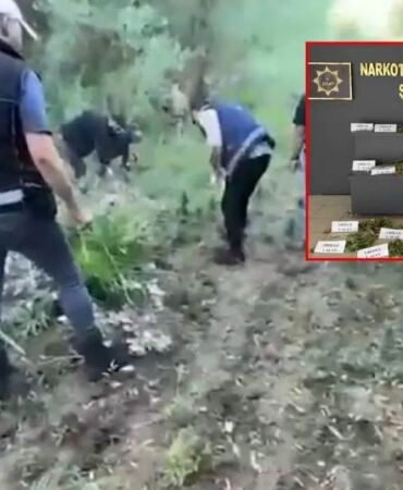 Diyarbakır’da hava destekli operasyon Binlerce kök kenevir imha edildi