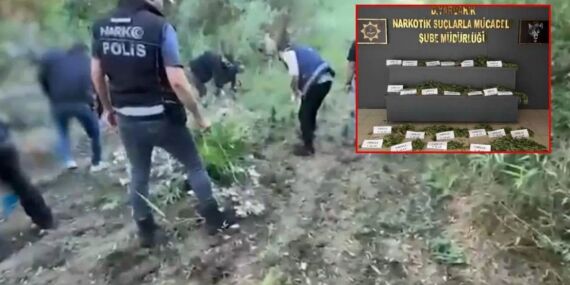 Diyarbakır’da hava destekli operasyon: Binlerce kök kenevir imha edildi