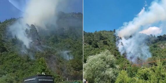 Bursa’da orman yangını: Havadan ve karadan müdahale ediliyor