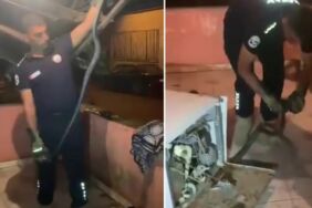 bulaşık makinesindeki sürpriz 2 metrelik yılan ekipleri harekete geçirdi