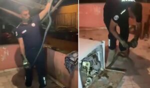 bulaşık makinesindeki sürpriz 2 metrelik yılan ekipleri harekete geçirdi