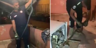 bulaşık makinesindeki sürpriz 2 metrelik yılan ekipleri harekete geçirdi