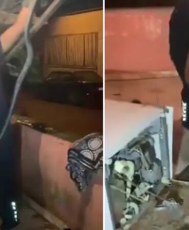 bulaşık makinesindeki sürpriz 2 metrelik yılan ekipleri harekete geçirdi