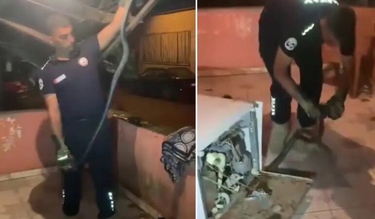 bulaşık makinesindeki sürpriz 2 metrelik yılan ekipleri harekete geçirdi