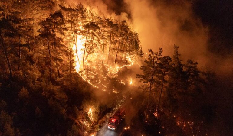 Alanya orman yangını