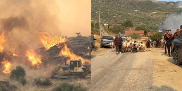 Aydın'da tarım arazisinde yangın