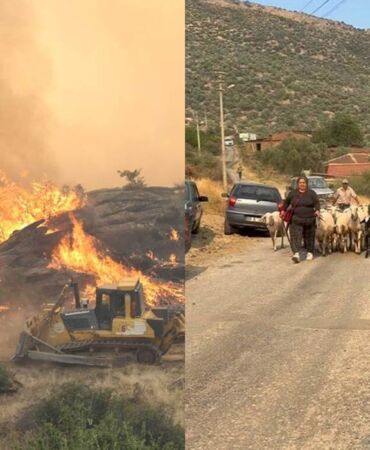 Aydın'da tarım arazisinde yangın