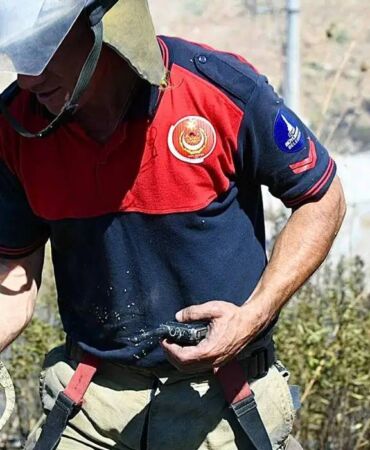 Bornova'da yangın büyümeden kontrol altına alındı İtfaiyeden bukalemun seferberliği
