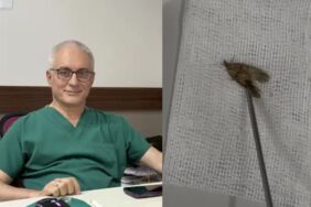 Kulağından 'kelebek' çıktı 'Hareketliydi, alırken kibar aldım, doğaya bıraktık'