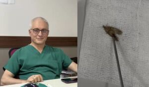Kulağından 'kelebek' çıktı 'Hareketliydi, alırken kibar aldım, doğaya bıraktık'