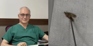 Kulağından 'kelebek' çıktı 'Hareketliydi, alırken kibar aldım, doğaya bıraktık'
